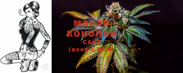 гашик Гусиноозёрск