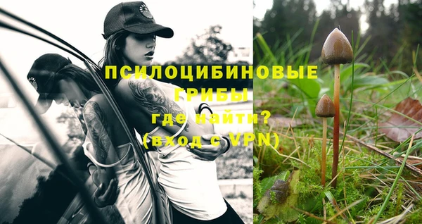 кокаин перу Гусев