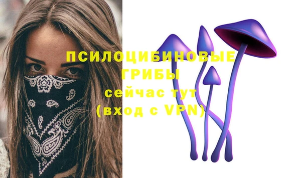 кристаллы Гусь-Хрустальный