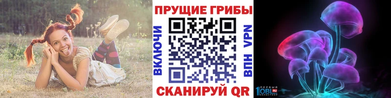 Псилоцибиновые грибы прущие грибы  продажа наркотиков  Волгореченск 